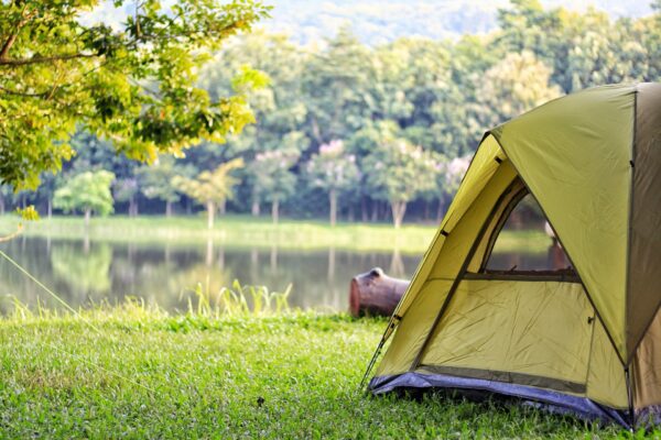 Carpa de ejemplo - Image 2